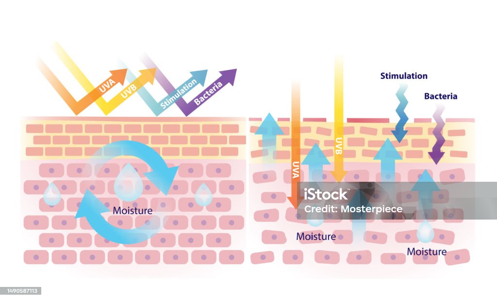 Foto istockphoto.com by Mosterpiece