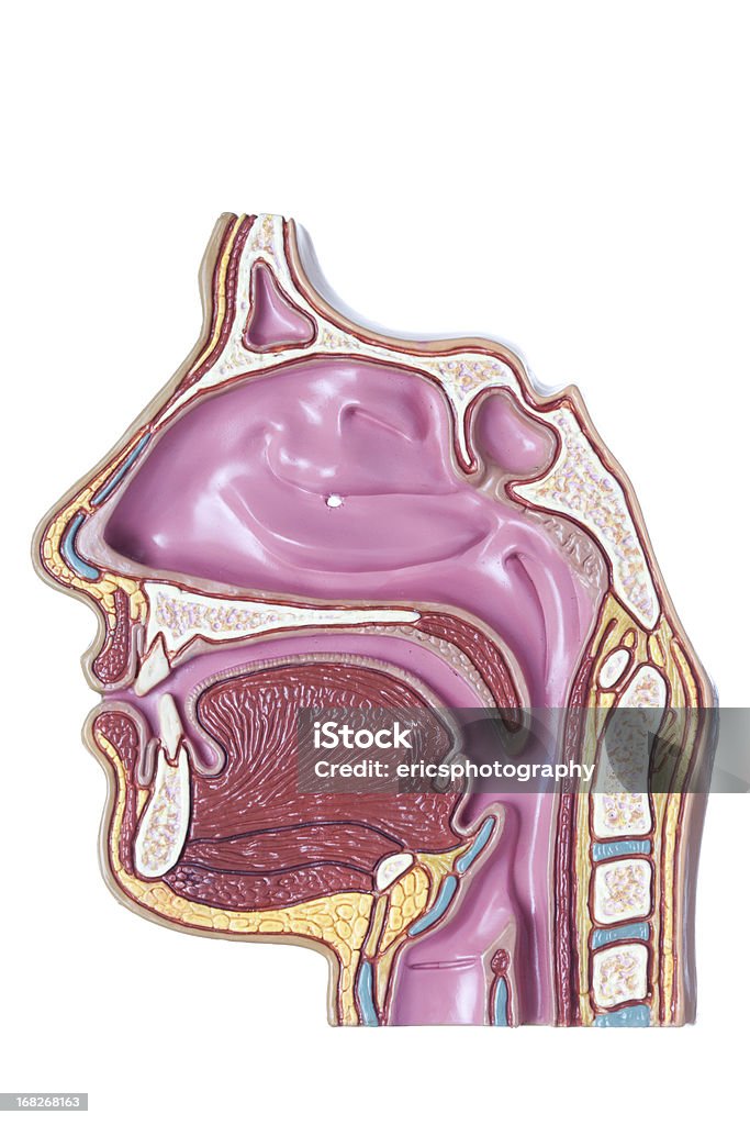 istock by ericsphotography