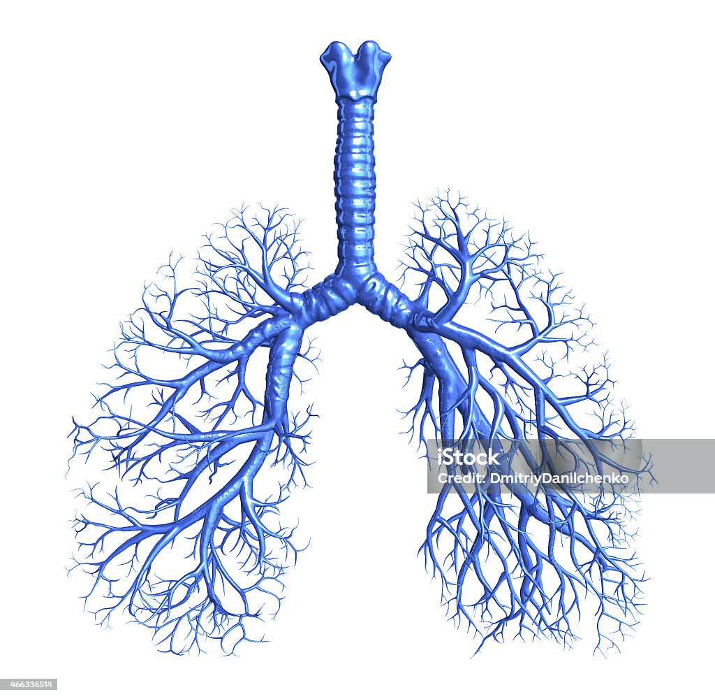 Foto istockphoto.com by DimitriyDanilchenko