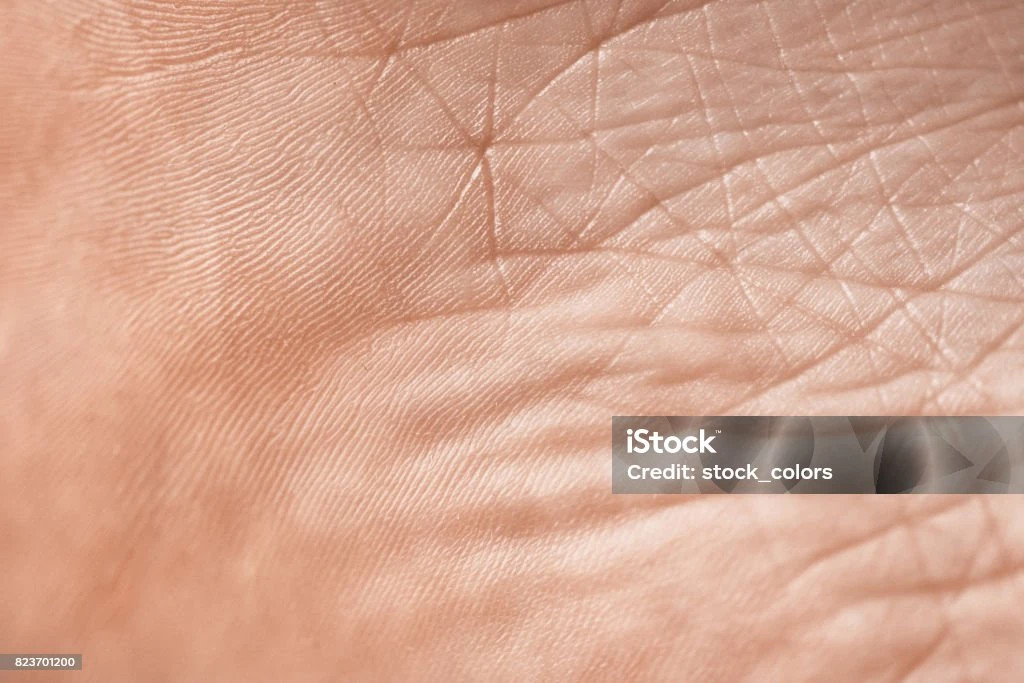 Foto istockphoto.com by stock_colors