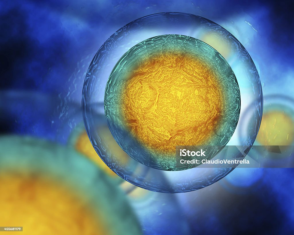 istock by ClaudioVentrella