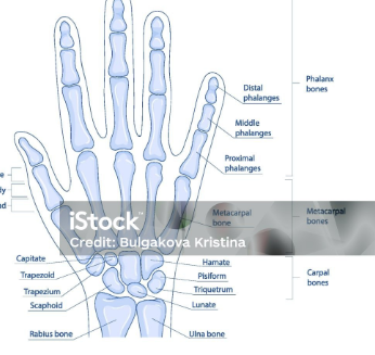 istock by Bulgakova Kristina