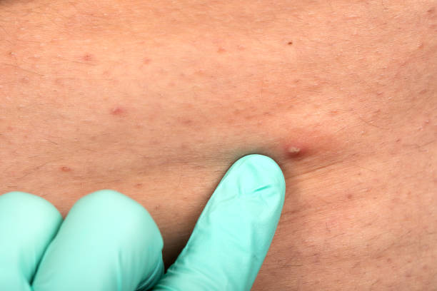 istockphoto-1289667649-612x612